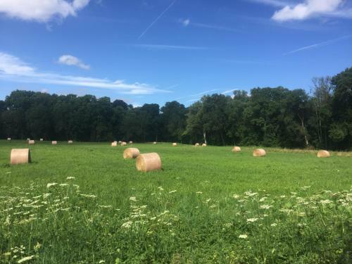 Bed & Breakfast Manoir de La R�moni�re