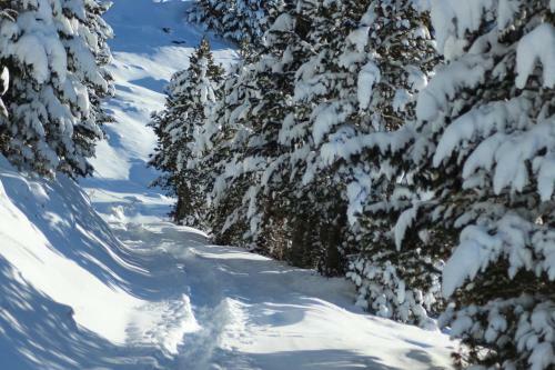 Apartamento Residence Alpenrose