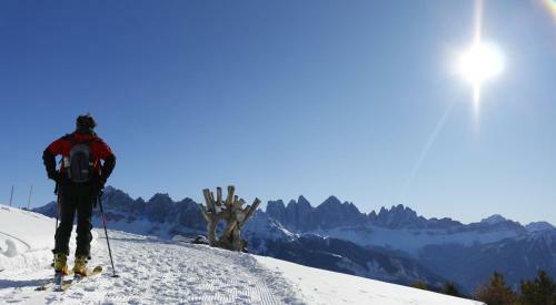 Apartamento Residence Alpenrose