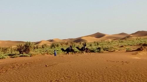 Chbayeki Mhamid Camp