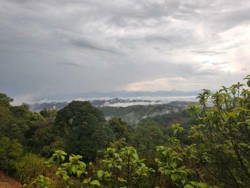 Villa Olivia Homestay Idukki