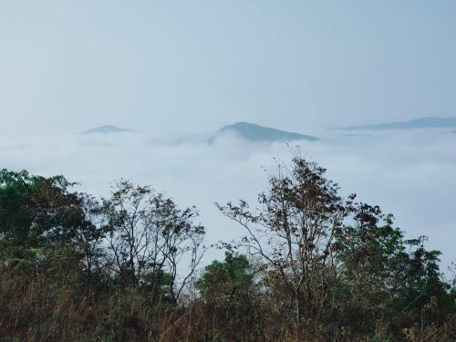 Villa Olivia Homestay Idukki