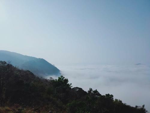 Villa Olivia Homestay Idukki
