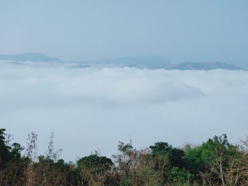Villa Olivia Homestay Idukki