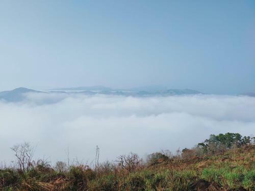 Villa Olivia Homestay Idukki