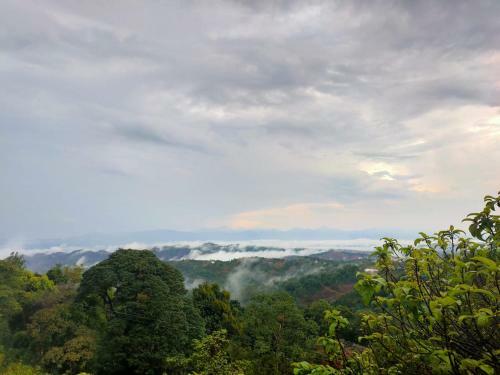 Villa Olivia Homestay Idukki