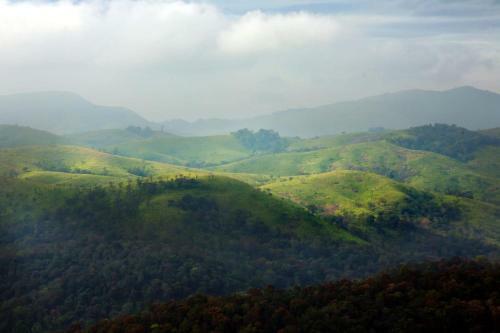 Villa Olivia Homestay Idukki