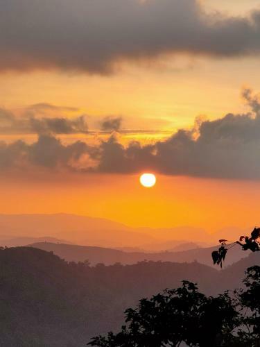 Villa Olivia Homestay Idukki
