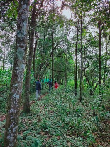 Villa Olivia Homestay Idukki