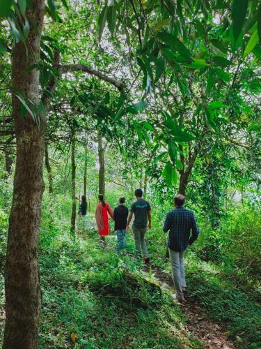 Villa Olivia Homestay Idukki