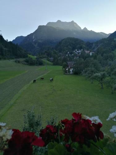 Apartamento Appartment Danterhof