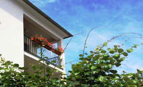 Apartamento Molo Beach Grande