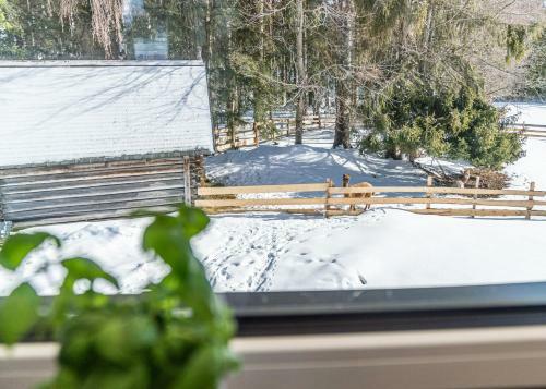 Apartamento Appartement Ahorn