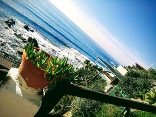 Sweet Castiglioncello Home