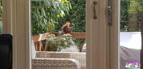 Vakantiehuis Op De Veluwe