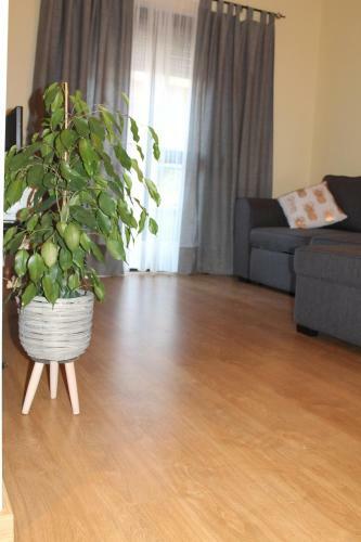 Apartamento Charming Baixa II
