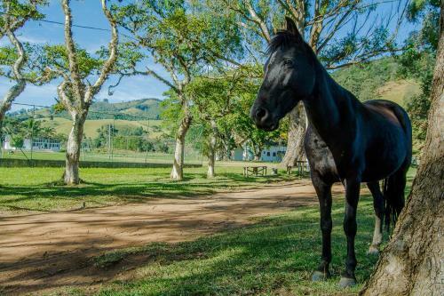 Hotel Estancia Santa Rita