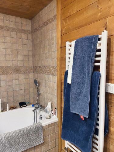 Grand Chalet � La Montagne