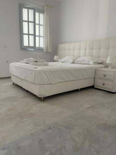 Amedi Villas Tinos