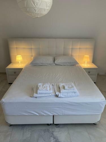 Amedi Villas Tinos
