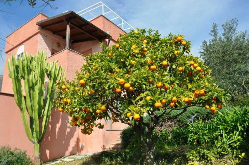 Apartamento Villa Paolina Ceriale - App. 4 Posti