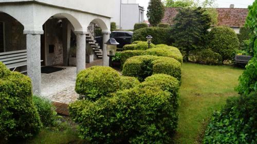 Apartament/mieszkanie - Gaja