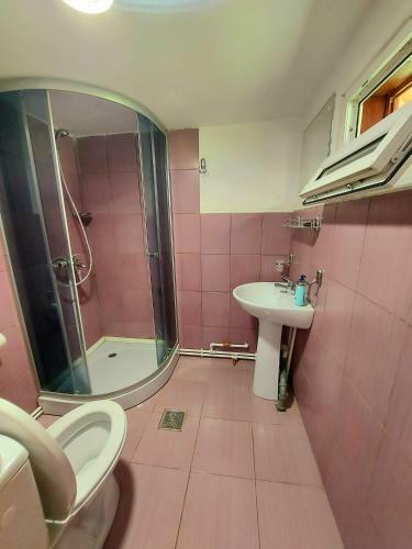 Hostal Pensiunea Boca Voronet