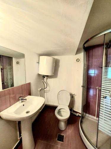 Hostal Pensiunea Boca Voronet