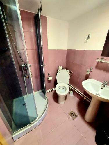 Hostal Pensiunea Boca Voronet