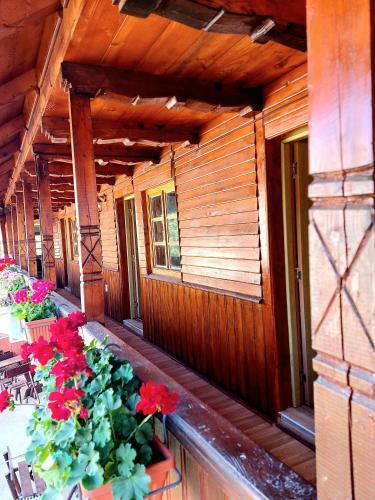 Hostal Pensiunea Boca Voronet