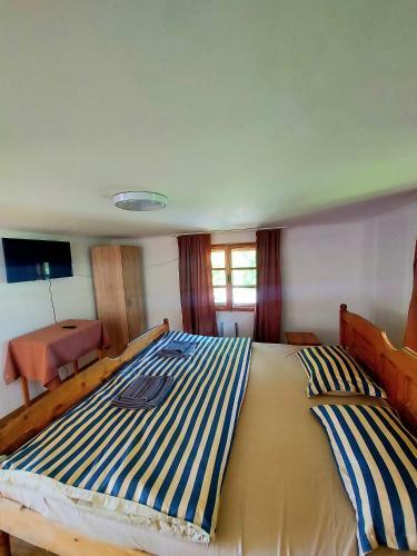 Hostal Pensiunea Boca Voronet
