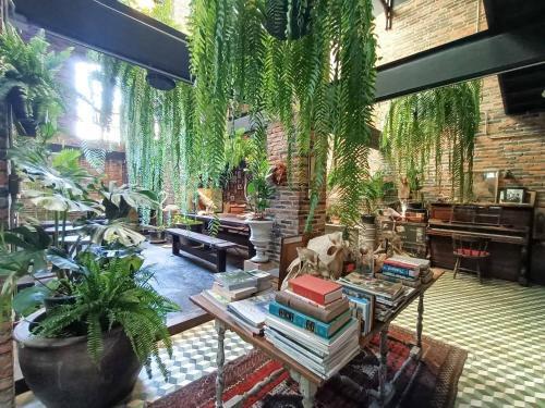 Bed & Breakfast J No.14
