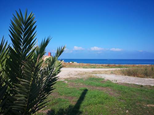Apartamento Appartamento Frontemare Sv1