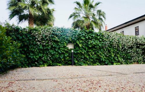 Apartamento Kiwi