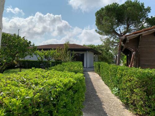 A Casa Di Alfredo Appartamenti In Villa