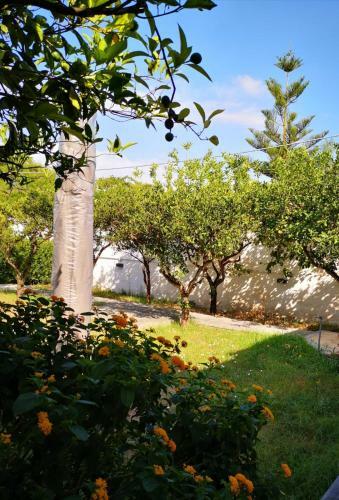A Casa Di Alfredo Appartamenti In Villa