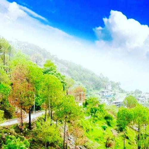 Aranya Villa - Kasauli