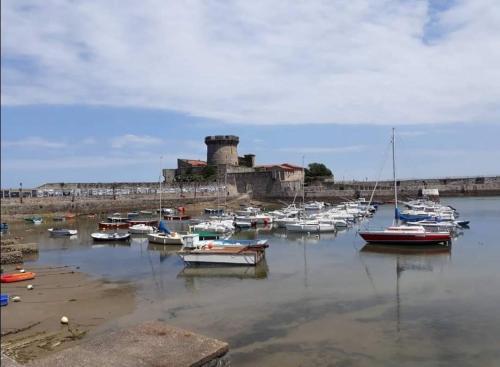 Apartamento Studio Haut De Bordagain Ciboure