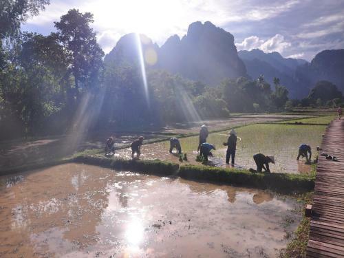Hotel Vieng Tara Villa