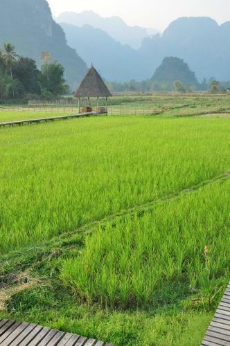 Hotel Vieng Tara Villa