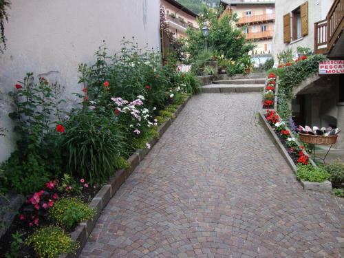 Apartamento App Genziana