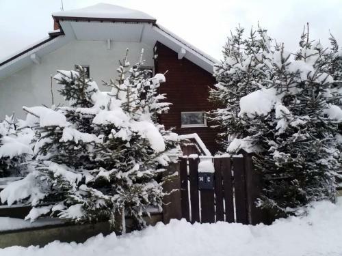 Hostal Czarna Owca