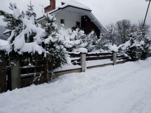 Hostal Czarna Owca