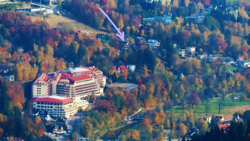 Hostal Czarna Owca