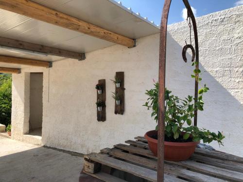 Tenuta Basile - Slow Live&homemade Food