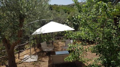 Tenuta Basile - Slow Live&homemade Food