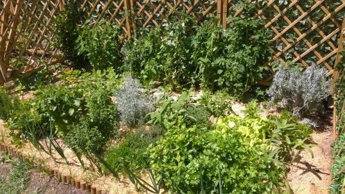 Apartamento Villa Elisabetta