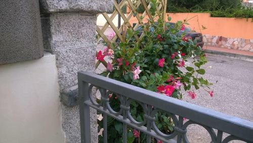 Apartamento Villa Elisabetta