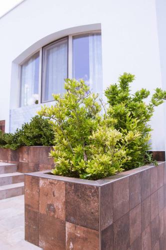 Bed & Breakfast Casa Azzurra Ostuni