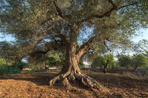 Apartamento P7 - La Casetta Del Falegname By Typney